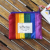 Münztasche in pride farben